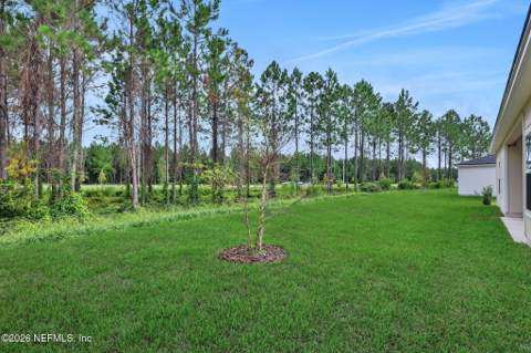 3774 Holstein Way, Green Cove Springs FL - photo 6 of 47
