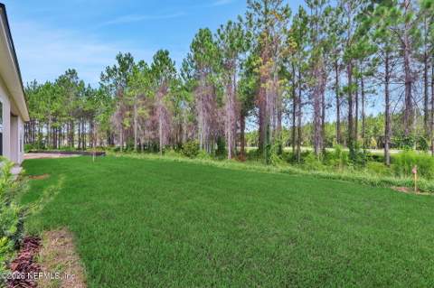 3774 Holstein Way, Green Cove Springs FL - photo 9 of 47