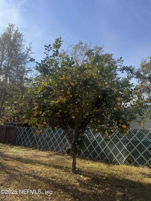 10728 Old Kings Road, Jacksonville FL - photo 23 of 27