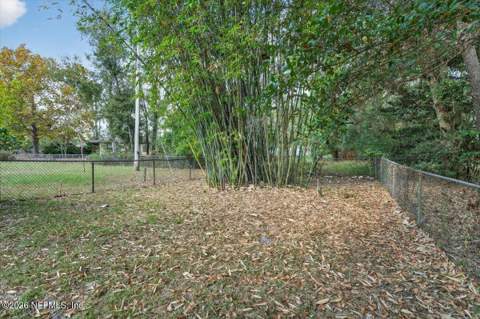 1285 Hatcher Road, Middleburg FL - photo 20 of 91
