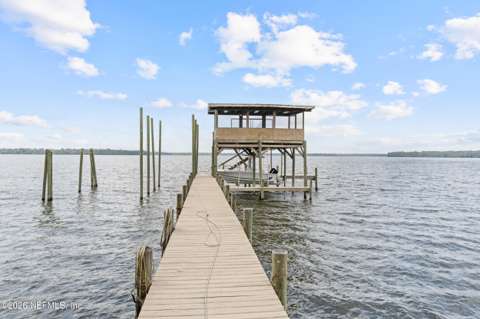 107 Beechers Point Drive, home for sale in Welaka 32193