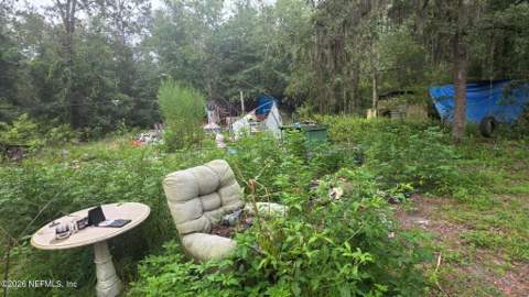 2517 Angelica Avenue, Middleburg FL - photo 7 of 10