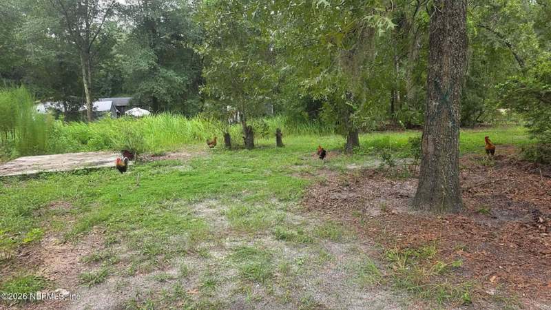 3 bedroom Mobile Home at 2517 Angelica Avenue, Jacksonville South, Middleburg — photo 5