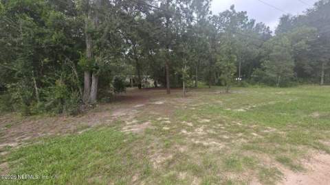 2517 Angelica Avenue, Middleburg FL - photo 9 of 10