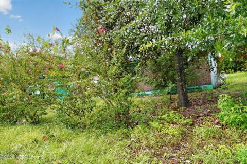 4915 Chivalry Drive, Jacksonville FL - photo 6 of 45