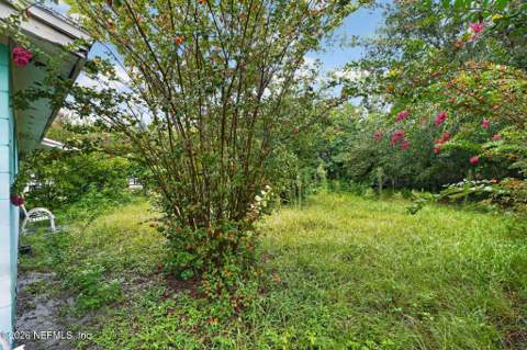 4915 Chivalry Drive, Jacksonville FL - photo 7 of 45