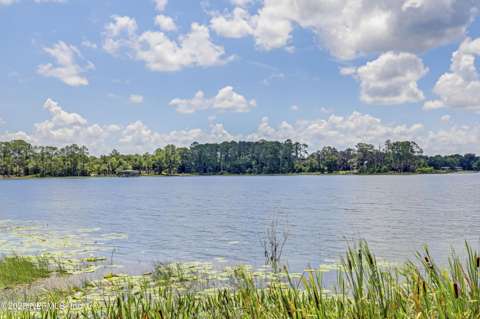 104 Carter-Whittaker Lane, home for sale in Pomona Park 32181