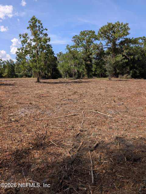 1425 Lee Road, St. Johns FL - photo 6 of 8