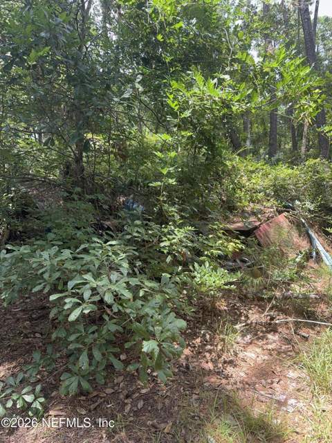 175 S Wilderness Trail, Ponte Vedra Beach FL - photo 11 of 12