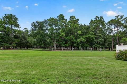 4345 Green River Place, Middleburg FL - photo 16 of 89