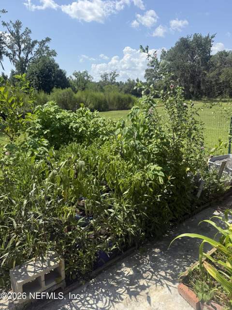 1935 SE 144th Street, Starke FL - photo 15 of 46