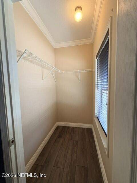 4535 Melanie Street, Hastings FL - photo 20 of 33