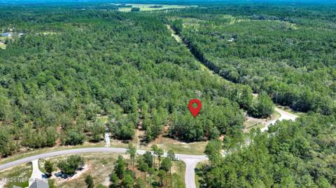 13597 Settindown Drive, Bryceville FL - photo 16 of 26