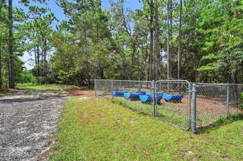 304 Grove Street, Welaka FL - photo 16 of 19
