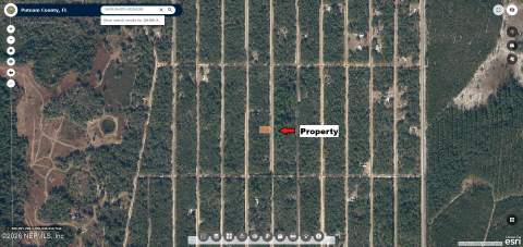 815 Del Monaco Avenue, Interlachen FL - photo 17 of 22