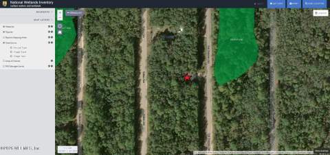 815 Del Monaco Avenue, Interlachen FL - photo 22 of 22