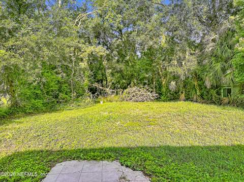 1164 Pangola Drive, Jacksonville FL - photo 24 of 28