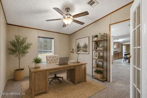307 Horsetail Avenue, Middleburg FL - photo 22 of 64