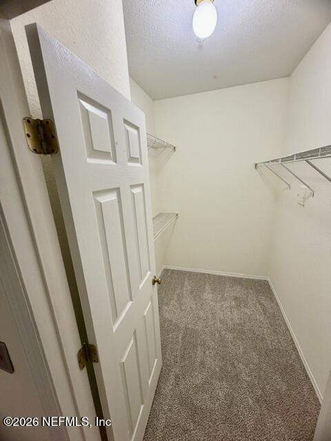 13810 Sutton Park Drive #1126, Jacksonville FL - photo 21 of 37
