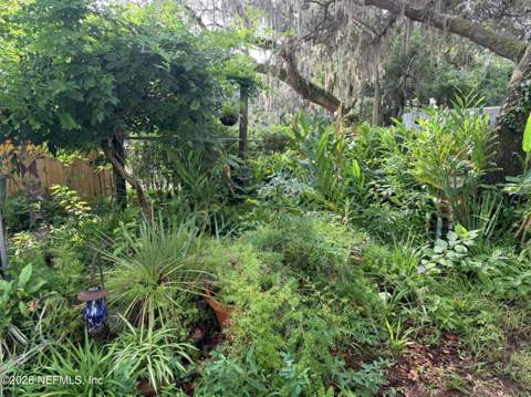 730 St Johns Avenue, Green Cove Springs FL - photo 13 of 13