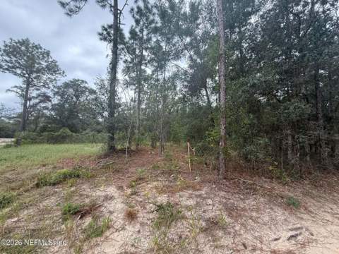 127 West Lake Drive, Hawthorne FL - photo 16 of 35