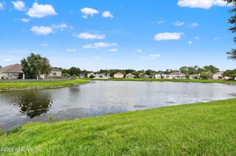 1700 Hollow Glen Drive, Middleburg FL - photo 20 of 22