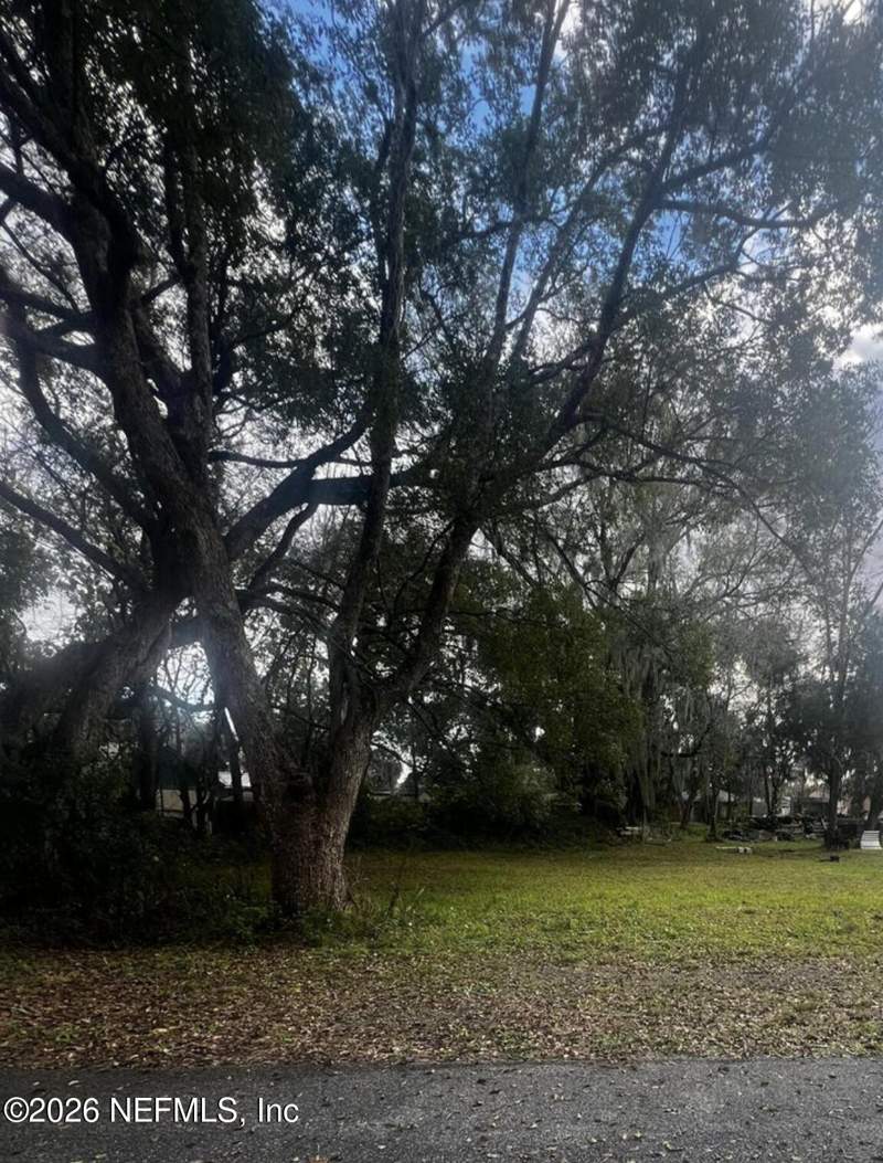 Unimproved Land at 1615 Dunham Street, Palatka Sears, Palatka — photo 3