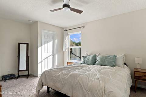 114 Beach Palm Court, St. Augustine FL - photo 10 of 27