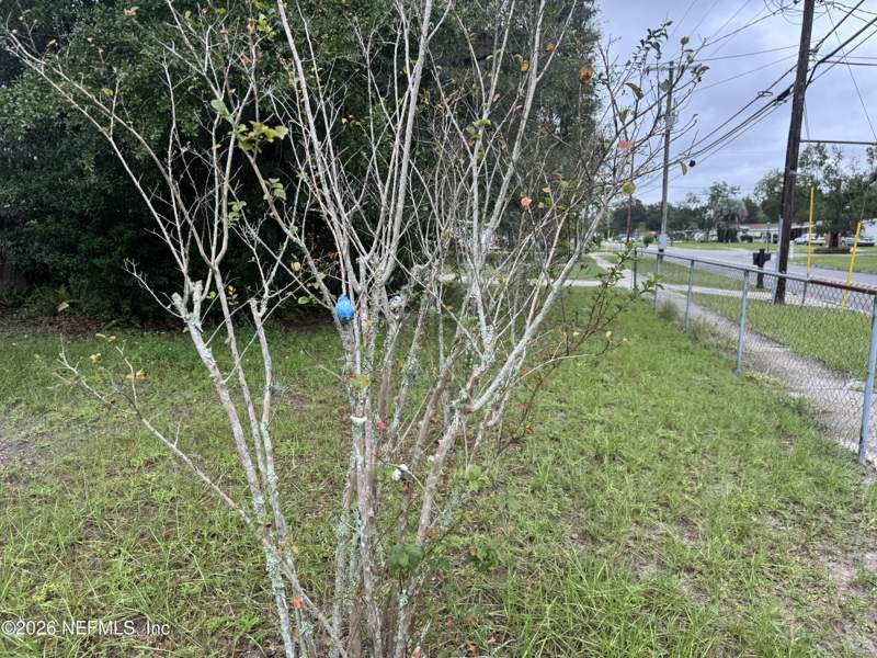 3 bedroom Single Family Residence at 401 Gano Avenue, Orange Park, Orange Park — photo 4