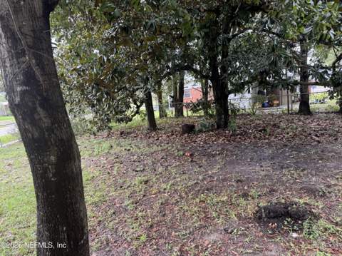 401 Gano Avenue, Orange Park FL - photo 6 of 18