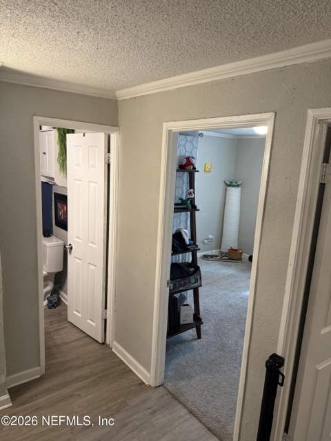 10525 Gailwood Circle, Jacksonville FL - photo 7 of 18