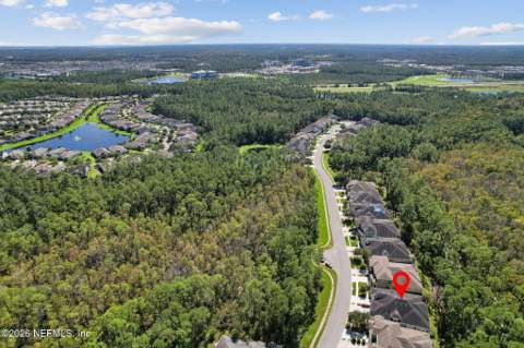 254 Wingstone Drive, Ponte Vedra FL - photo 11 of 47