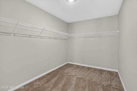 4742 Creek Bluff Lane, Middleburg FL - photo 24 of 43