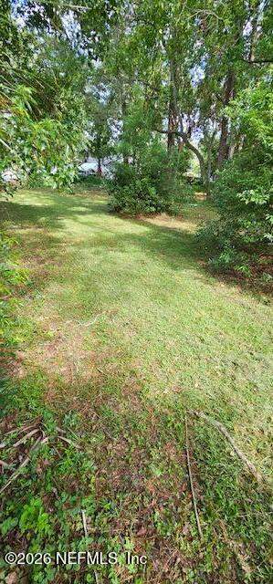 2331 Holmes Street, Jacksonville FL - photo 14 of 15