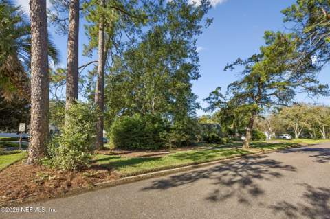 4233 Davinci Avenue, Jacksonville FL - photo 6 of 88
