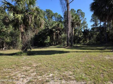 113 Laisy Drive, Georgetown FL - photo 16 of 17