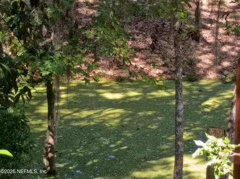 523 SE 28th Way, Melrose FL - photo 22 of 28
