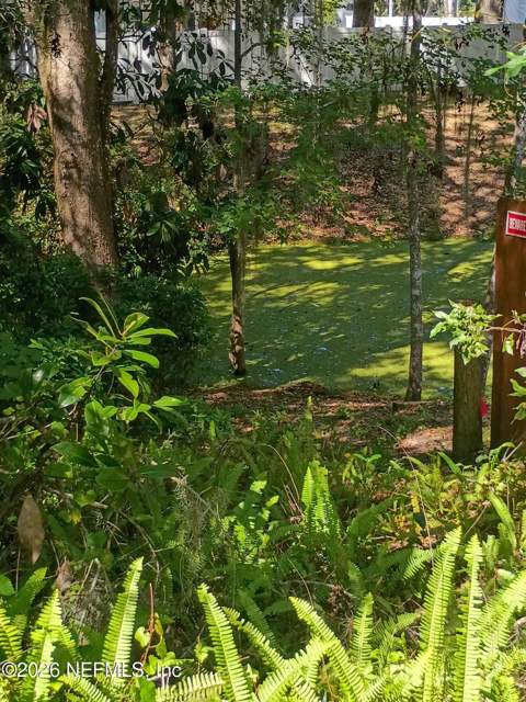 523 SE 28th Way, Melrose FL - photo 21 of 28