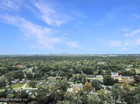 2442 Evernia Road, Jacksonville FL - photo 21 of 21