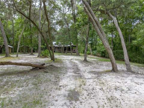 1360 Douglas Fish Camp Road, White Oak GA - photo 9 of 50