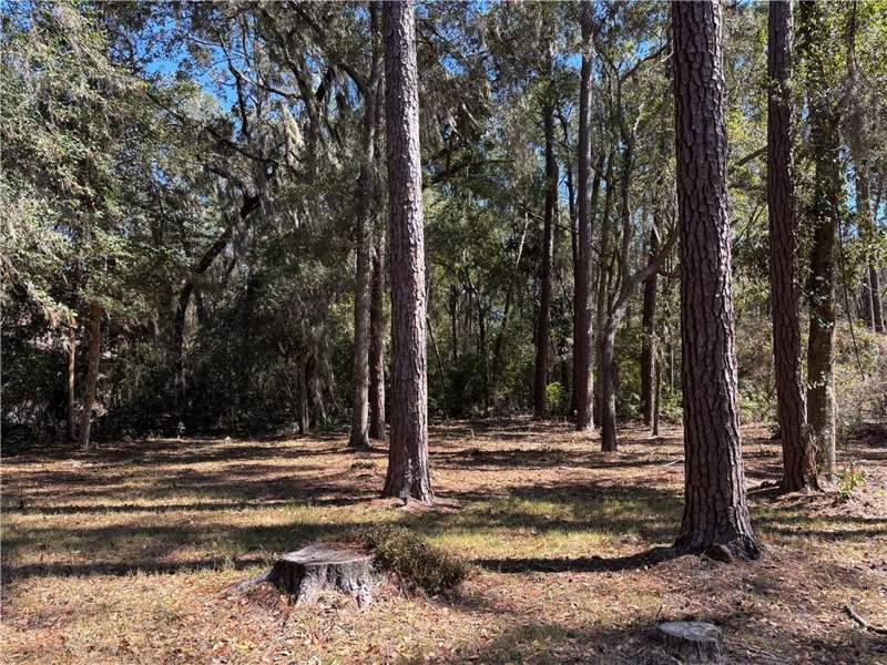 3 bedroom Single Family Residence at 140 Butler Lake Drive, Hampton Point, St. Simons Island — photo 5