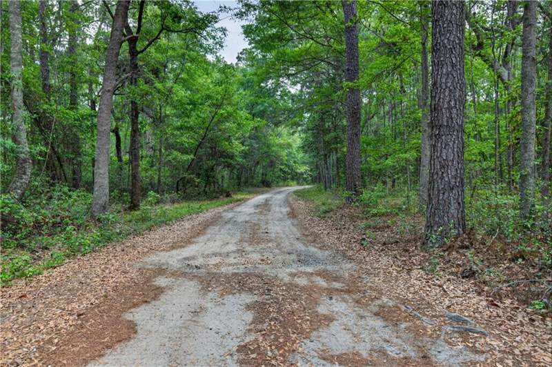 4 bedroom Single Family Residence at 34 NE Barrett Cemetery Road, No Recorded Subdivision, Ludowici — photo 4