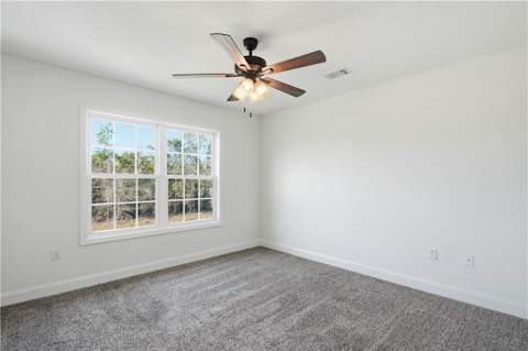 9 Palmer Place Lane, Ludowici GA - photo 23 of 49
