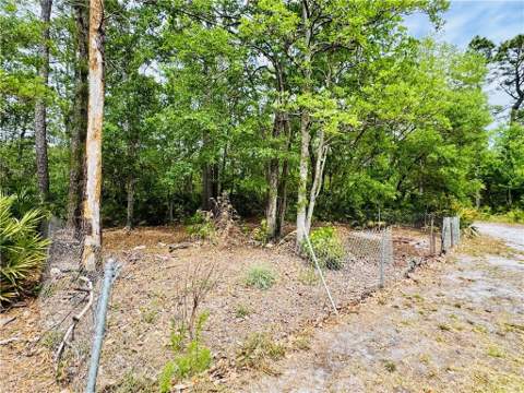 5062 Lampadoshia Road, Waverly GA - photo 6 of 25