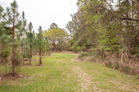 752 Old Hortense Road, Hortense GA - photo 6 of 32