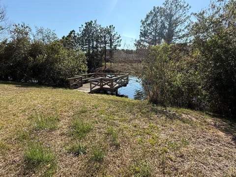 137 Edge Water Drive, Brunswick GA - photo 7 of 44