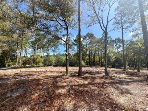 1499 Sapelo Park Drive, Townsend GA - photo 11 of 16
