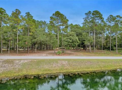 1499 Sapelo Park Drive, Townsend GA - photo 13 of 16