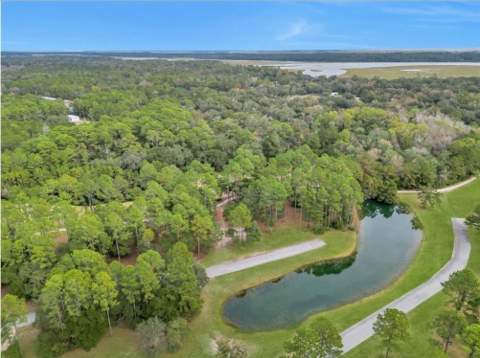 1499 Sapelo Park Drive, Townsend GA - photo 14 of 16