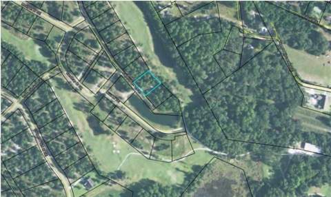 1499 Sapelo Park Drive, Townsend GA - photo 15 of 16